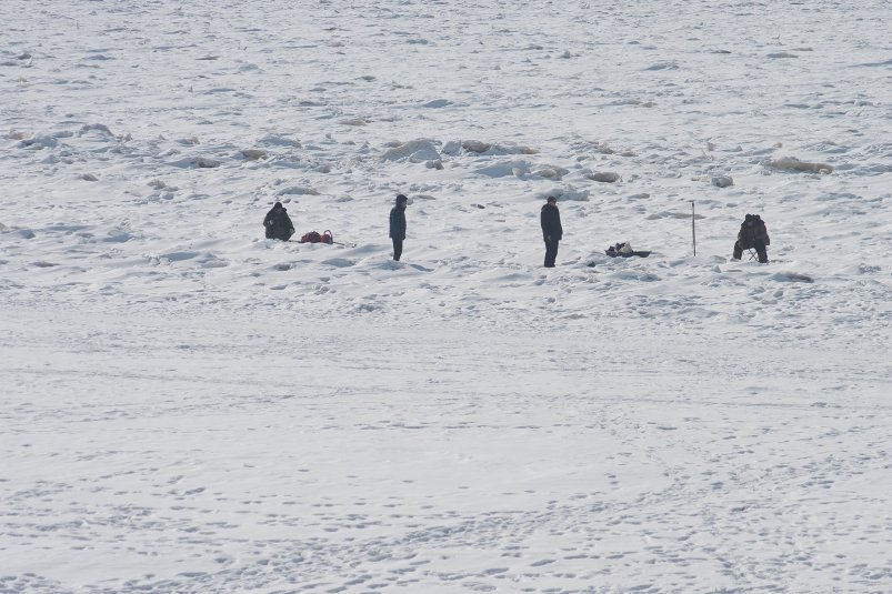 Тематическое фото Юлия Матреницкая, ИА AmurMedia.ru