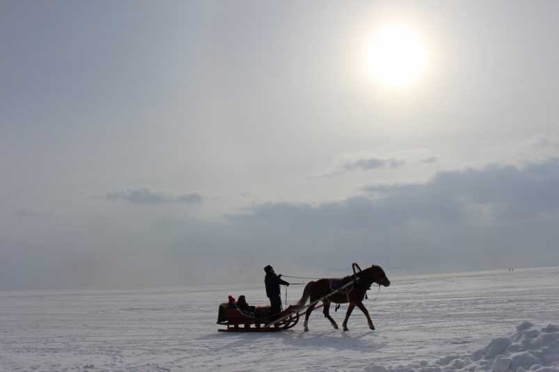Лошадь идет по льду Кирилл Роткин, ИА IrkutskMedia