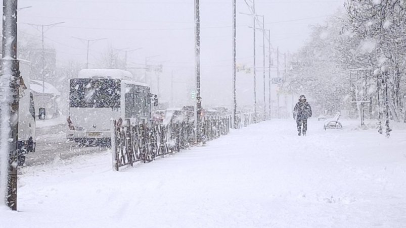 Циклон на Камчатке Ирина Васильева ИА KamchatkaMedia
