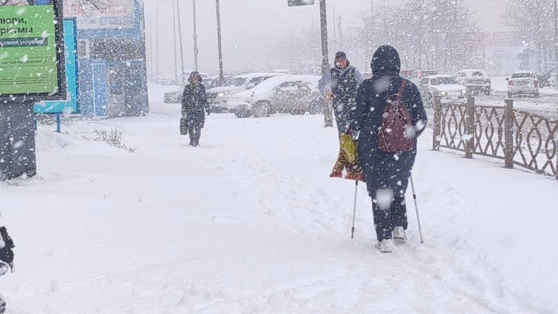 Снегопад Ирина Васильева, ИА KamchatkaMedia