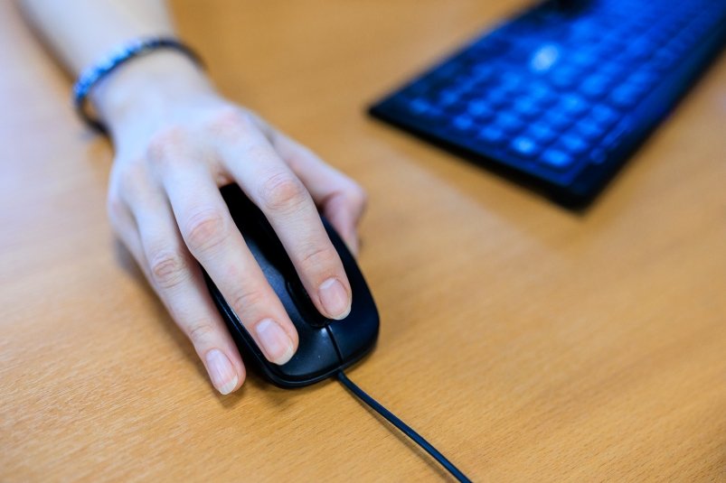 Тематическая иллюстрация Евгений  Кулешов, ИА PrimaMedia.ru