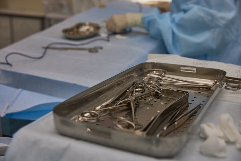 Тематическая фотография Дмитрий Осипчук, ИА PrimaMedia