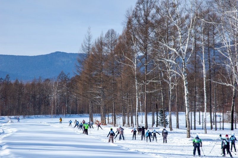 Тематическое фото правительство области