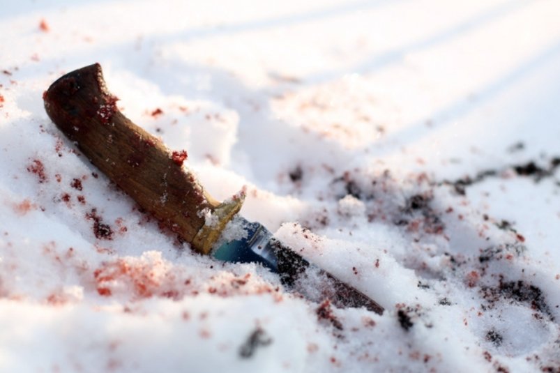 Тематическое фото ИА PrimaMedia