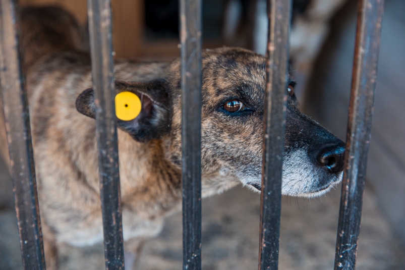 Тематическая фотография Илья Аверьянов, ИА PrimaMedia