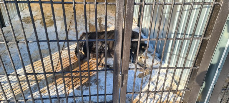 Тематическое фото мэрия города