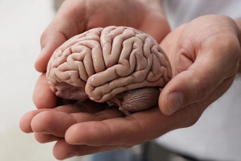 Ваш IQ ничтожно мал, если не осилите эти 10 элементарных вопросов — ТЕСТ ИИ &quotGigaChat" (18+)