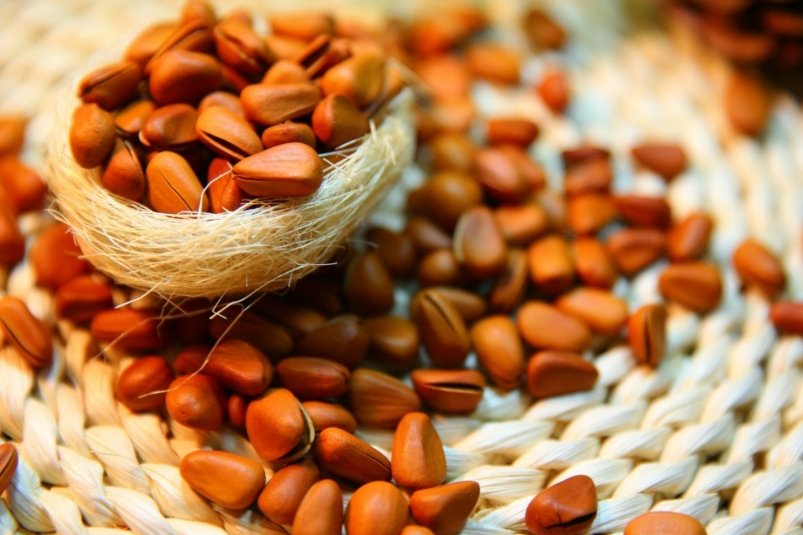 Тематическое фото pxhere.com