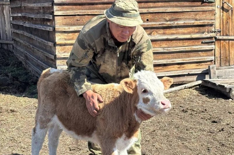 В Бурятии до конца года гранты "Агростартап" получат ещё 4 начинающих фермера минсельхозпрод Бурятии