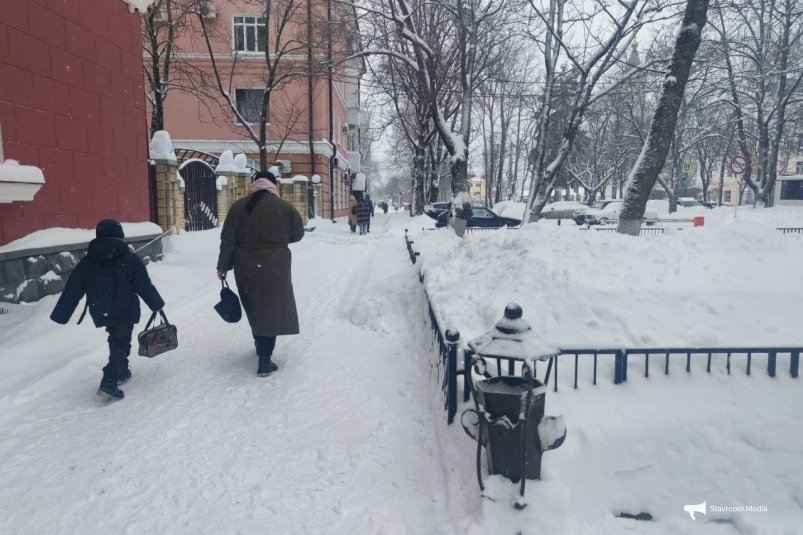 Такой суровой погоды не было 250 лет: россиян предупреждают о суровой зиме 2025/2026 ИА Stavropol.Media