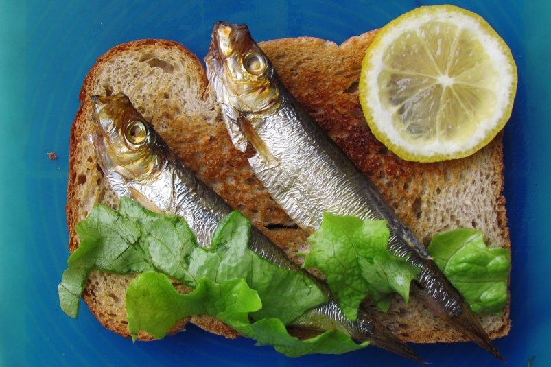 Тематическое фото pxhere.com