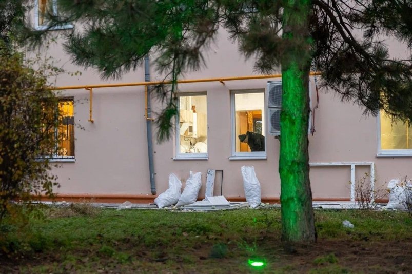 Остекление в 60% пострадавших после атаки БПЛА квартир восстановили в Таганроге телеграм-канал (18+) Светланы Камбуловой