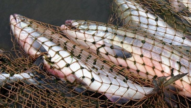 Тематическое фото Прокуратура Магаданской области