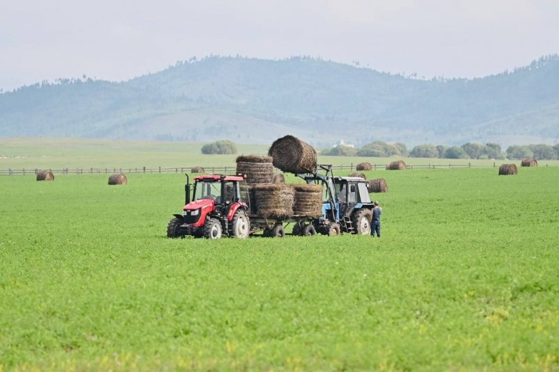 Бурятия получит 19,9 млн на "Агростартап" для фермеров из семей мобилизованных пресс-служба правительства Бурятии
