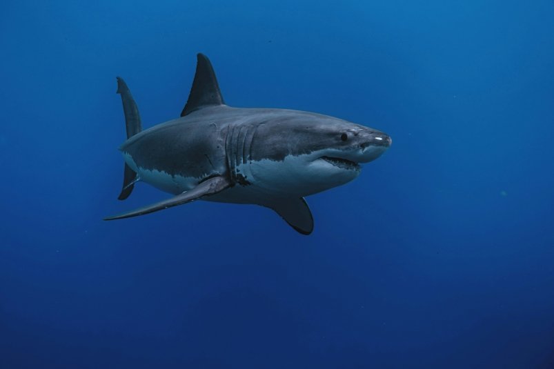 Тематическое фото unsplash.ru