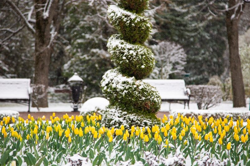 Снежный мираж или когда на Кубань нагрянет настоящая зима Артём Хорошилов