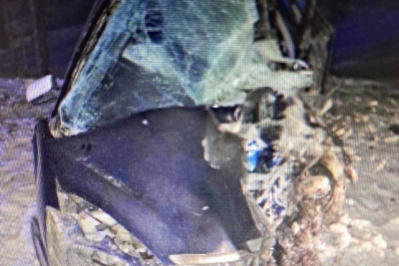 ДТП тг-канал (18+) Госавтоинспекции Забайкалья