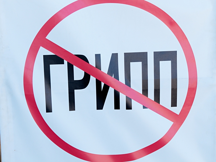 В России растет заболеваемость гриппом Владислав Беляцкий, ИА SakhalinMedia