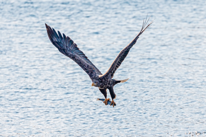 Тематическое фото Мария Смитюк, ИА PrimaMedia