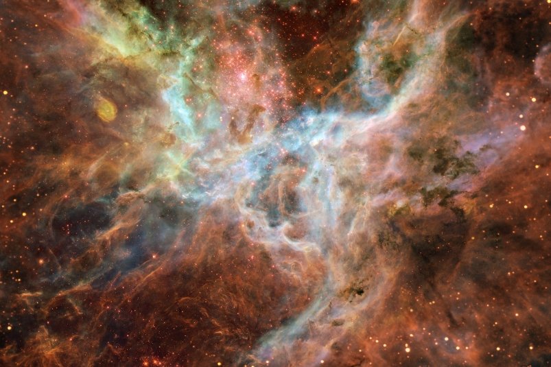 Тематическое фото pxhere.com (18+)