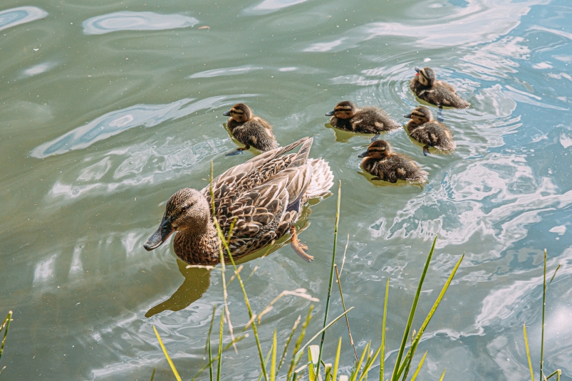 Тематическое фото Мария Смитюк, ИА PrimaMedia