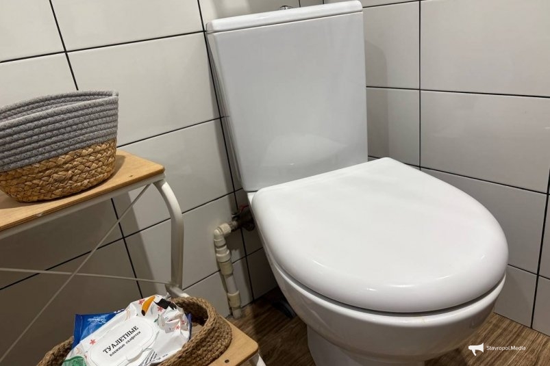 Туалетную бумагу - в топку: найдена замена - в Европе давно так делают, мы только начинаем ИА Stavropol.Media