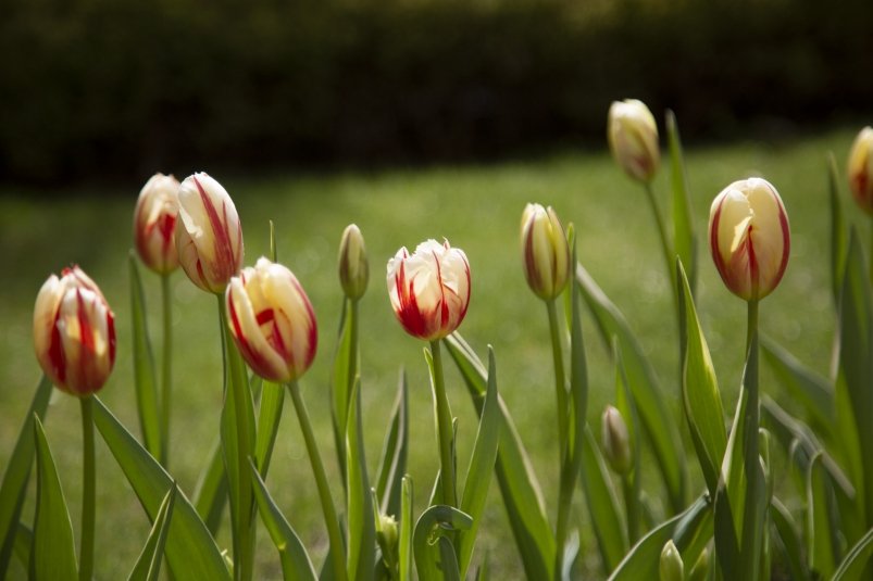 Тематическое фото Артём Хорошилов  , ИА Stavropol.Media