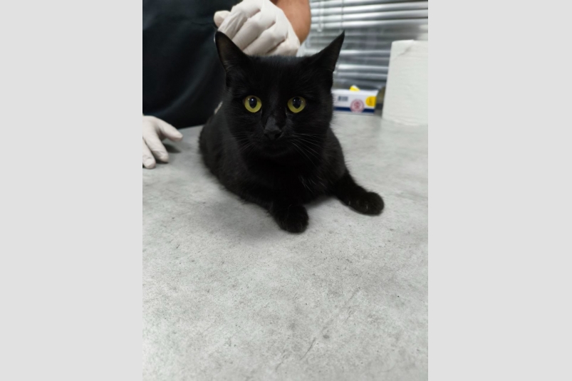 Мусю спасают в Севастополе Из архива Т. Большаковой