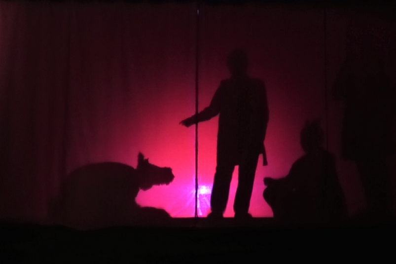 Театр теней пресс-служба ГУФСИН России по Приморскому краю