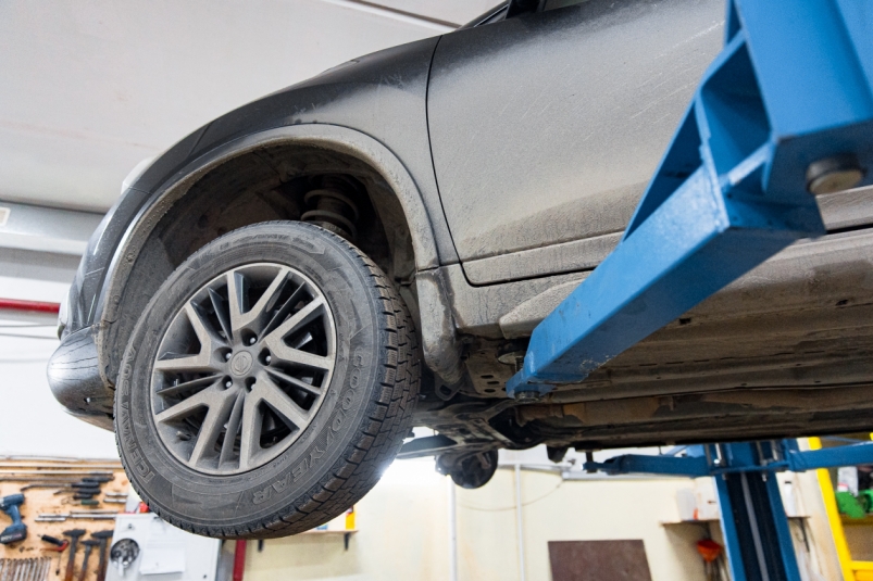 Тематическая фотография Илья Аверьянов, ИА PrimaMedia