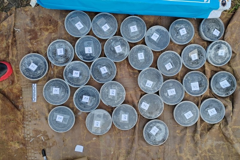 Организатору незаконного оборота чёрной икры вынесли приговор в Хабаровске СУ СК РФ по Хабаровскому краю и ЕАО