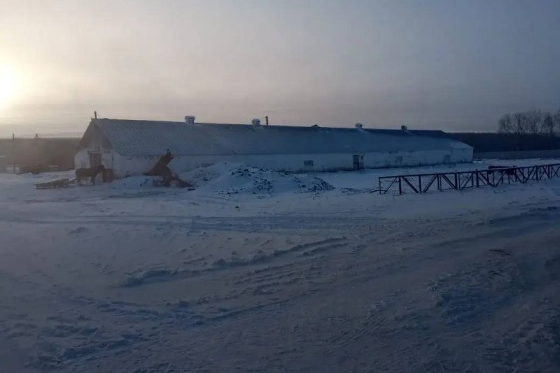 . пресс-служба прокуратуры Красноярского края