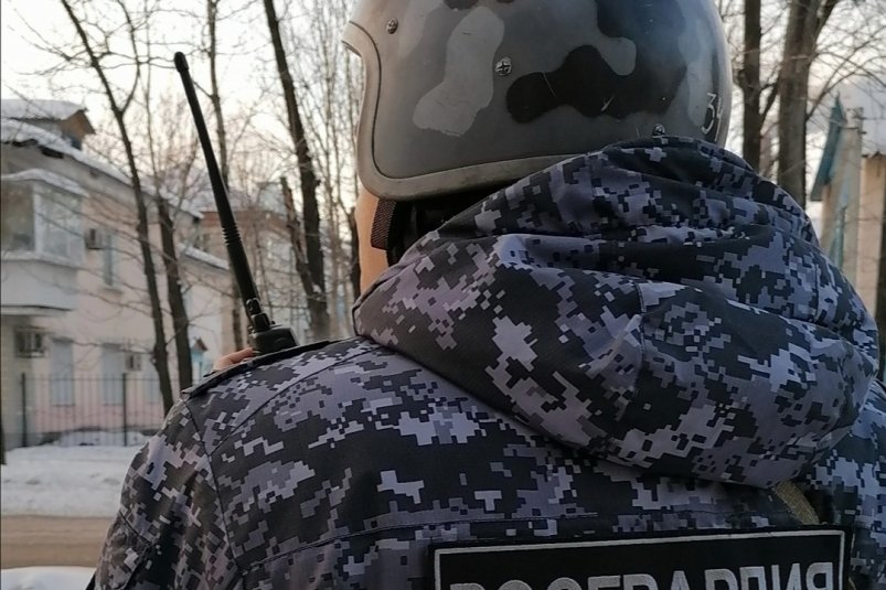 Тематическое фото Росгвардия ЕАО