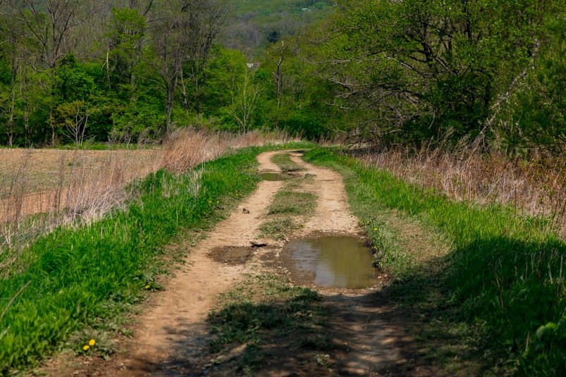 Тематическое фото Илья Аверьянов, ИА PrimaMedia.ru