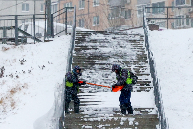 Тематическое фото ИА PrimaMedia