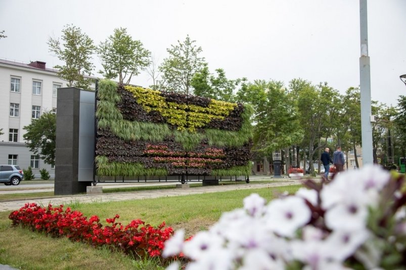 Фитостена в Южно-Сахалинске пресс-служба администрации Южно-Сахалинска