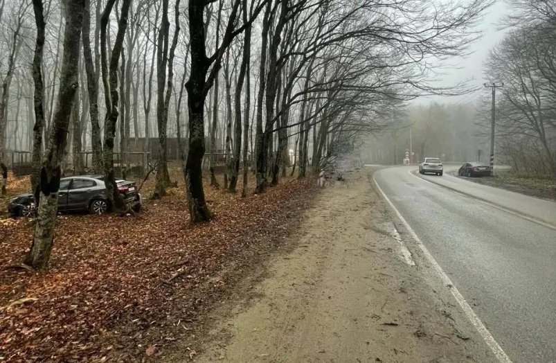 Корейские иномарки столкнулись на трассе через лес под Ставрополем Госавтоинспекция Ставрополья