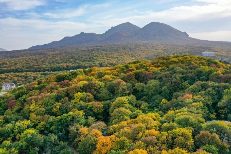Фотоловушки установили в железноводском лесу Администрация Железноводска