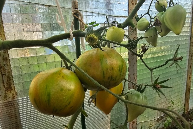 Тематическое фото Авторское