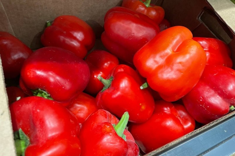 Выбрала три лучших сорта перца: щедрый урожай, сочная мякоть и никакой водянистости. Проверено на своей грядке ИА KrasnodarMedia