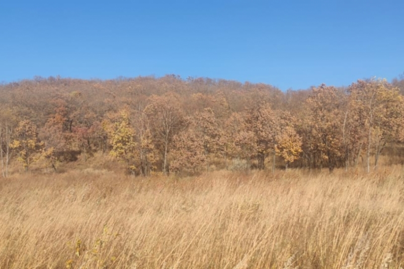 Сельхозназначение — не для жилья: власти Якутска напомнили о запрете Марина  Померанцева , ИА EAOMedia