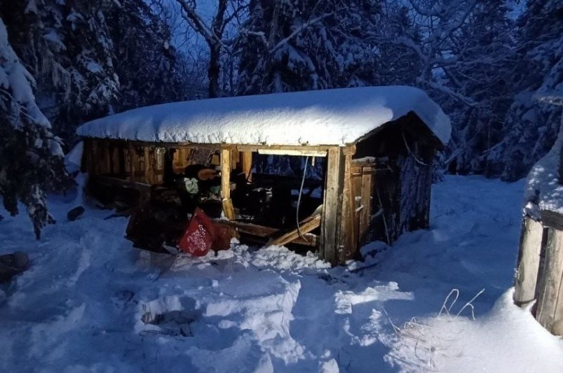Разрушенная медведем егерская избушка КГКУ "ЦОД". 