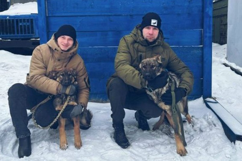 Два щенка немецкой овчарки из Хабаровска отправились служить в Свердловскую область Пресс-служба УФСИН России по Хабаровскому краю