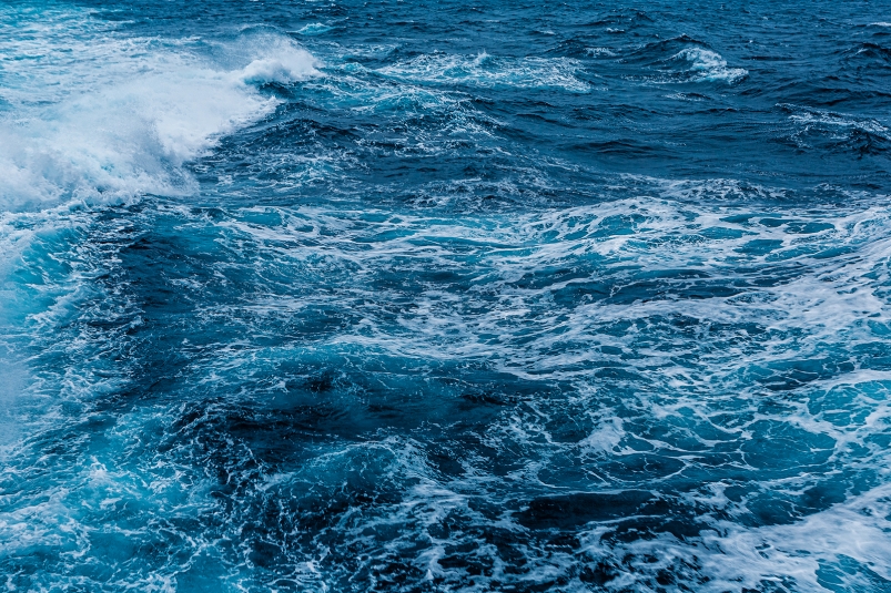 Тематическое фото ИА PrimaMedia