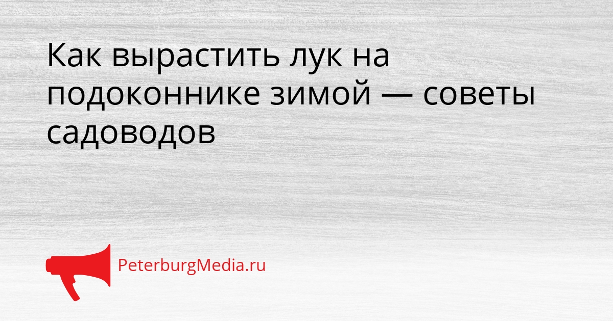 Как вырастить лук на подоконнике зимой — советы садоводов Сгенерировано