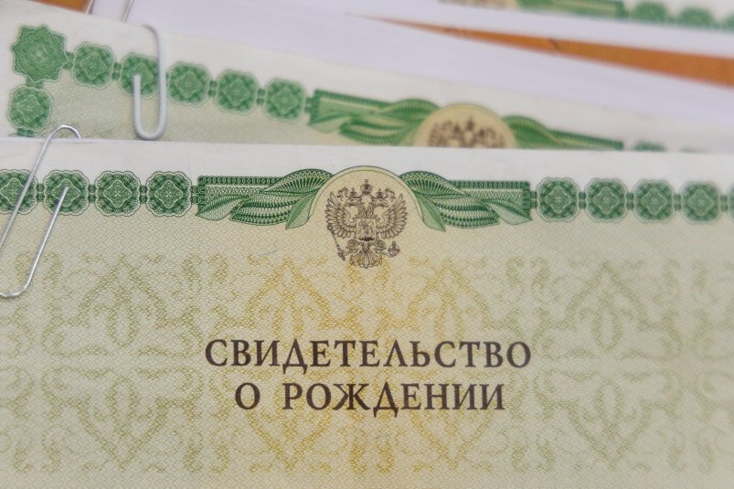 Свидетельство о рождении Евгений  Кулешов, ИА PrimaMedia.ru