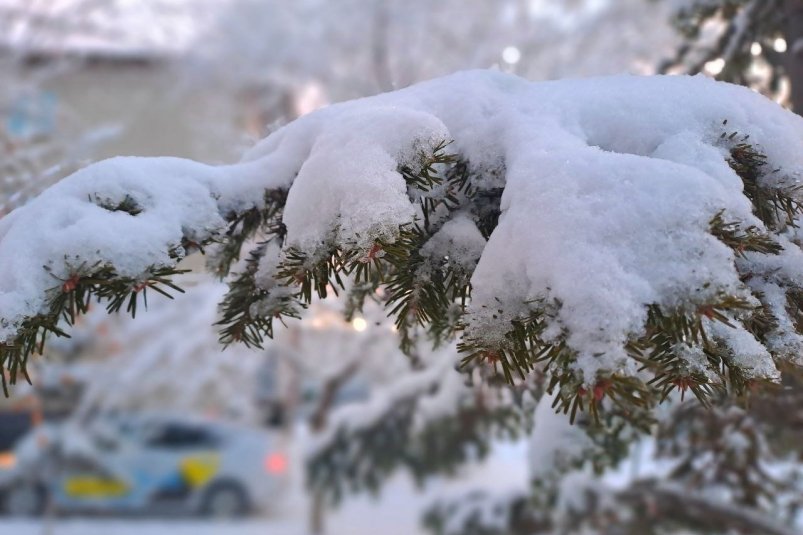 Снегопад в Уссурийске Ольга Долгополова, ИА UssurMedia