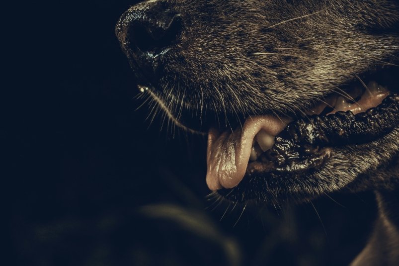 Тематическое фото unsplash.com