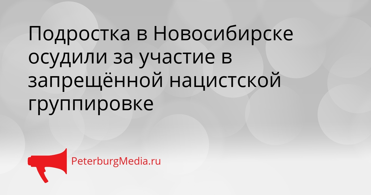 Подростка в Новосибирске осудили за участие в запрещённой нацистской группировке Сгенерировано