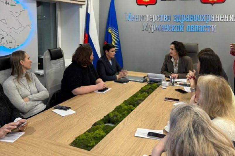 Делегация из Амурской области рассказала о партнерстве со страховой компанием министерство здравоохранения Амурской области